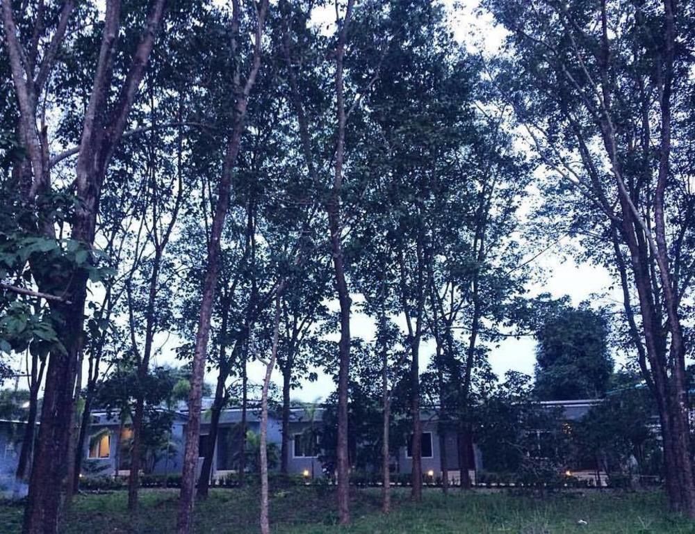 Saiyuan Garden Resort Rawai Bagian luar foto